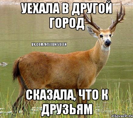 Уехала в другой город Сказала, что к друзьям