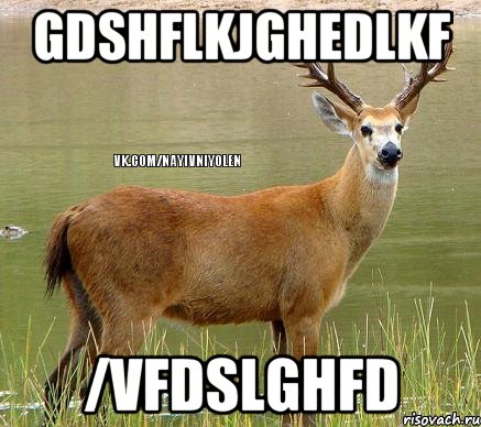 gdshflkjghedlkf /vfdslghfd, Мем Олень