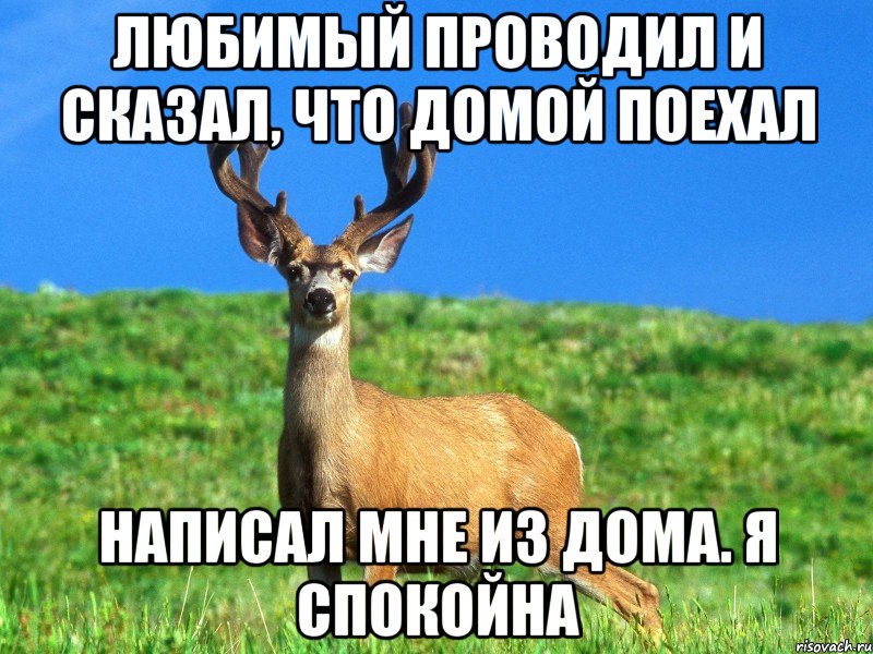 Любимый проводил и сказал, что домой поехал Написал мне из дома. Я спокойна