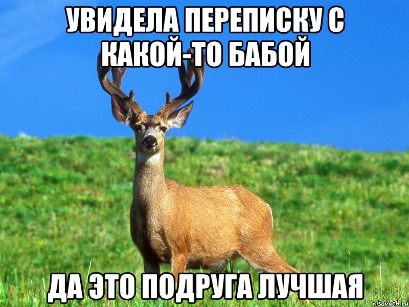 Увидела переписку с какой-то бабой Да это подруга лучшая