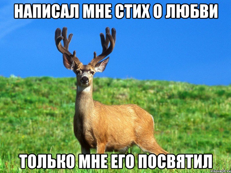 Написал мне стих о любви Только мне его посвятил