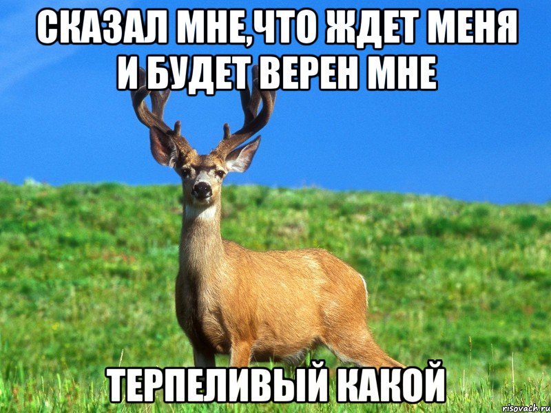 сказал мне,что ждет меня и будет верен мне терпеливый какой