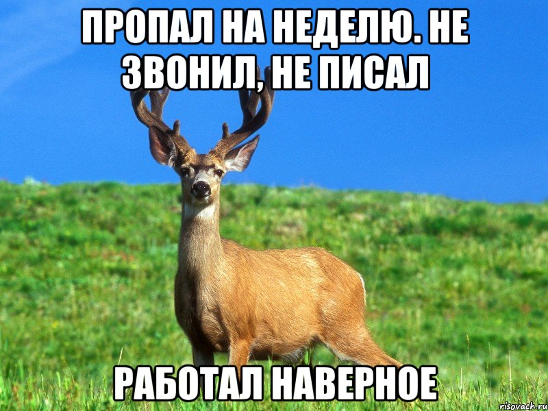 пропал на неделю. не звонил, не писал работал наверное
