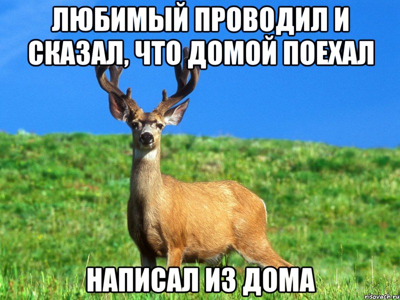 Любимый проводил и сказал, что домой поехал написал из дома
