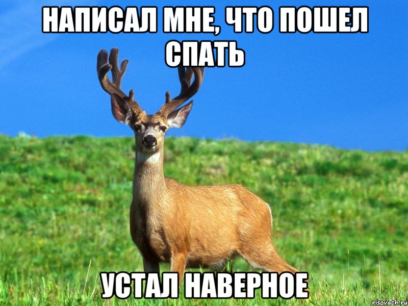 написал мне, что пошел спать устал наверное