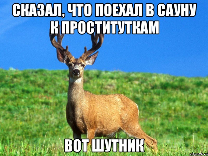 сказал, что поехал в сауну к проституткам вот шутник
