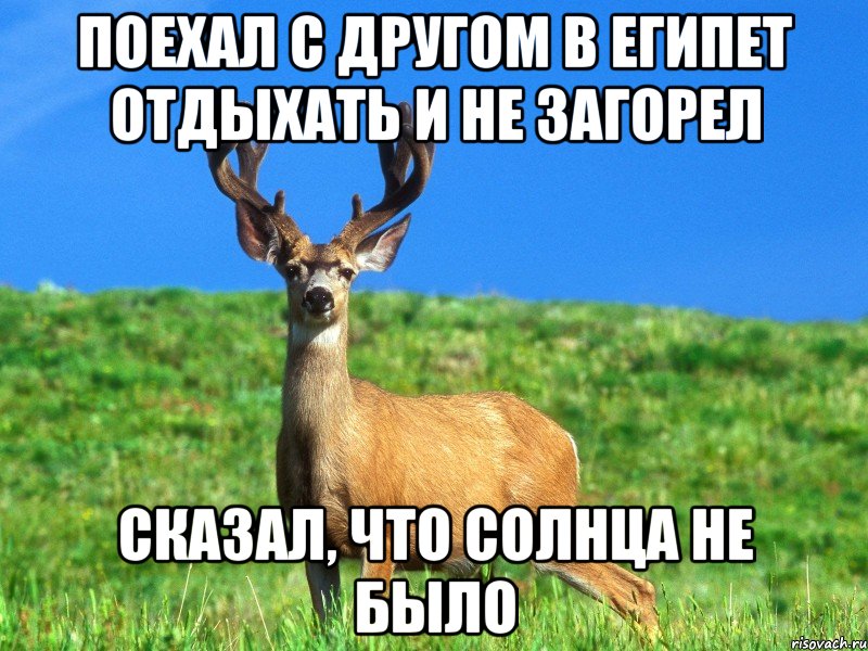 Поехал с другом в Египет отдыхать и не загорел сказал, что солнца не было
