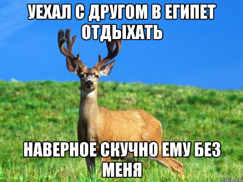 уехал с другом в Египет отдыхать наверное скучно ему без меня