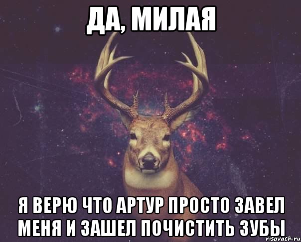 Да, милая Я верю что Артур просто завел меня и зашел почистить зубы, Мем  олень наивный