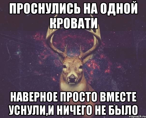 проснулись на одной кровати наверное просто вместе уснули,и ничего не было, Мем  олень наивный