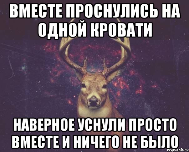 вместе проснулись на одной кровати наверное уснули просто вместе и ничего не было, Мем  олень наивный