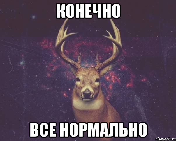 КОНЕЧНО ВСЕ НОРМАЛЬНО