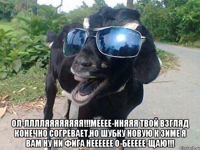  ОЛ-ЛЛЛЛЯЯЯЯЯЯЯЯ!!!МЕЕЕЕ-ННЯЯЯ ТВОЙ ВЗГЛЯД КОНЕЧНО СОГРЕВАЕТ,НО ШУБКУ НОВУЮ К ЗИМЕ Я ВАМ НУ НИ ФИГА НЕЕЕЕЕЕ О-БЕЕЕЕЕ-ЩАЮ!!!
