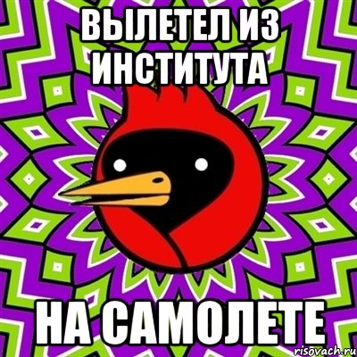 ВЫЛЕТЕЛ ИЗ ИНСТИТУТА НА САМОЛЕТЕ, Мем Омская птица
