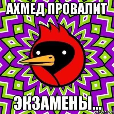 Ахмед провалит Экзамены..., Мем Омская птица