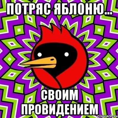 Потряс яблоню... Своим провидением, Мем Омская птица