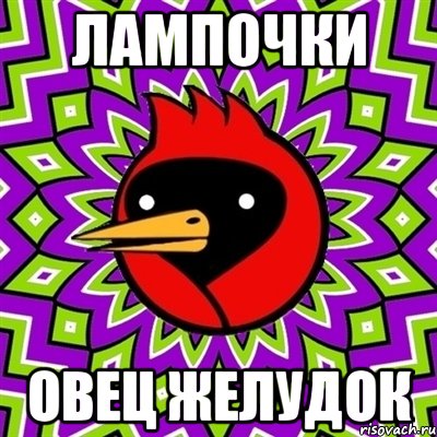 лампочки овец желудок, Мем Омская птица