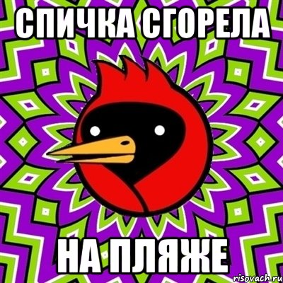 спичка сгорела на пляже, Мем Омская птица