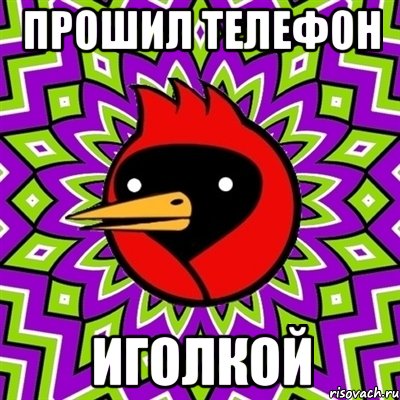 Прошил телефон Иголкой, Мем Омская птица
