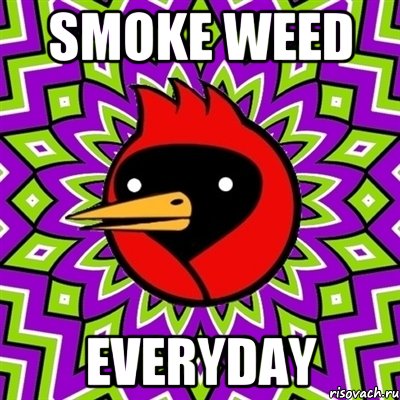 smoke weed everyday