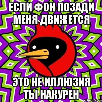 Если фон позади меня движется Это не иллюзия ты накурен, Мем Омская птица