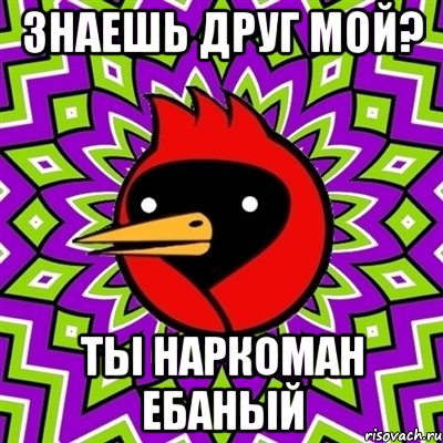 знаешь друг мой? ты наркоман ебаный, Мем Омская птица