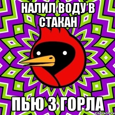 Налил воду в стакан пью з горла, Мем Омская птица