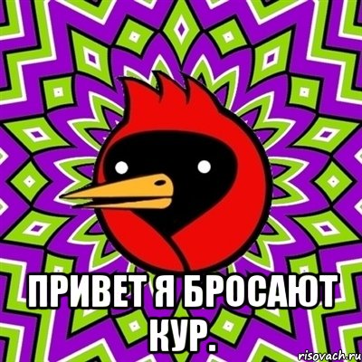  Привет Я Бросают Кур., Мем Омская птица