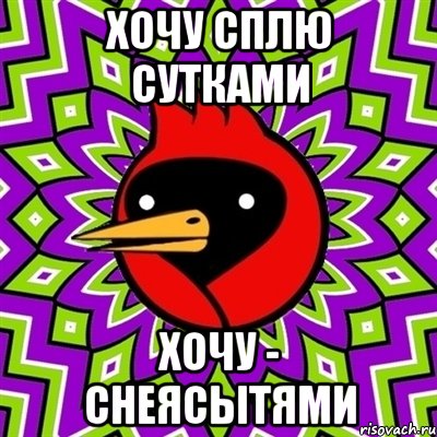 хочу сплю сутками хочу - снеясытями, Мем Омская птица