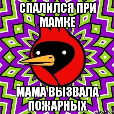 Спалился при мамке Мама вызвала пожарных, Мем Омская птица