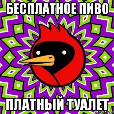 бесплатное пиво платный туалет, Мем Омская птица