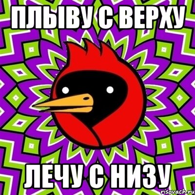 Плыву с верху лечу с низу, Мем Омская птица
