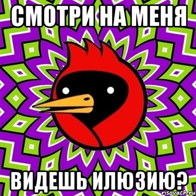 смотри на меня видешь илюзию?, Мем Омская птица