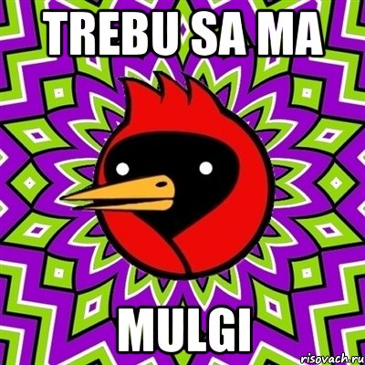 Trebu sa ma MuLGi, Мем Омская птица