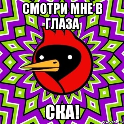 смотри мне в глаза ска!, Мем Омская птица