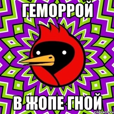 Геморрой в жопе гной