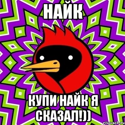 Найк Купи найк я сказал!))