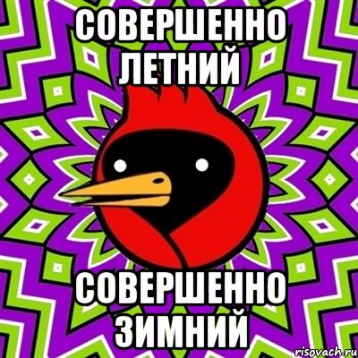 совершенно летний совершенно зимний, Мем Омская птица