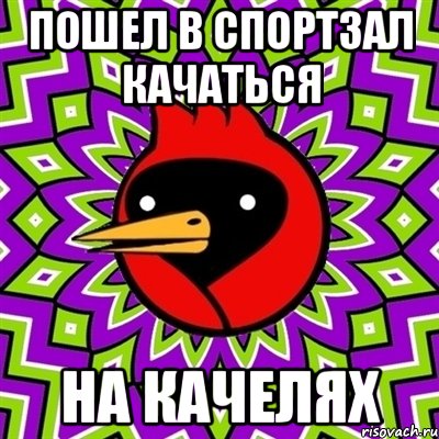 Пошел в спортзал качаться на качелях, Мем Омская птица
