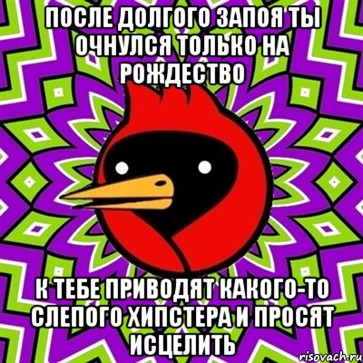 после долгого запоя ты очнулся только на рождество к тебе приводят какого-то слепого хипстера и просят исцелить, Мем Омская птица
