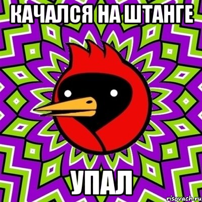 качался на штанге упал, Мем Омская птица