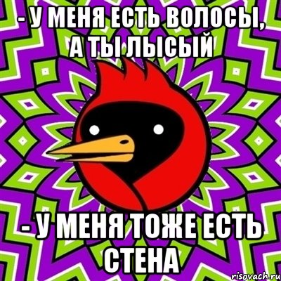 - у меня есть ВОЛосы, а ты лысый - у меня тоже есть стена, Мем Омская птица