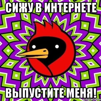 сижу в интернете ВЫПУСТИТЕ МЕНЯ!