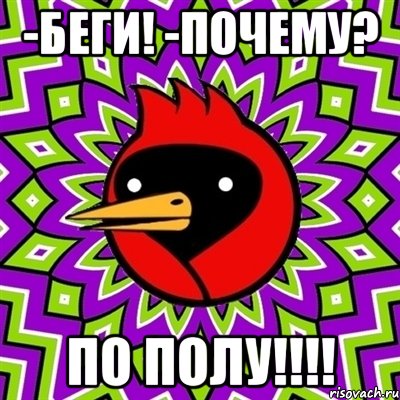 -беги! -Почему? ПО ПОЛУ!!!!, Мем Омская птица
