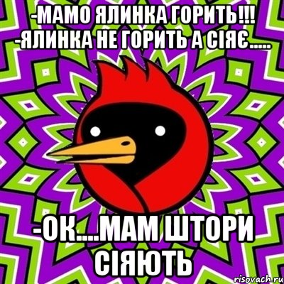 -МАМО ЯЛИНКА ГОРИТЬ!!! -ЯЛИНКА НЕ ГОРИТЬ А СІЯЄ..... -ОК....МАМ ШТОРИ СІЯЮТЬ, Мем Омская птица