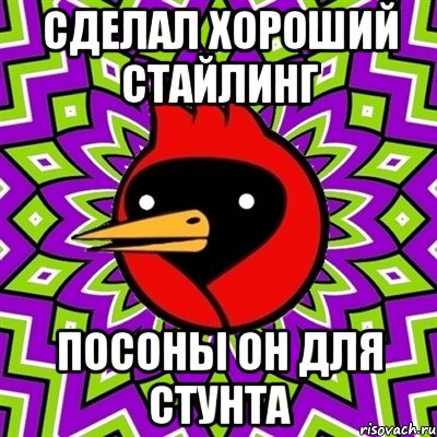 Сделал хороший стайлинг Посоны он для стунта, Мем Омская птица