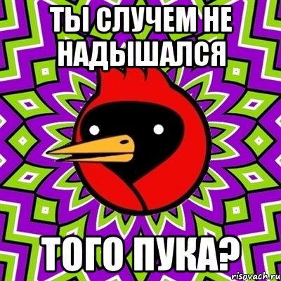 ТЫ СЛУЧЕМ НЕ НАДЫШАЛСЯ ТОГО ПУКА?, Мем Омская птица