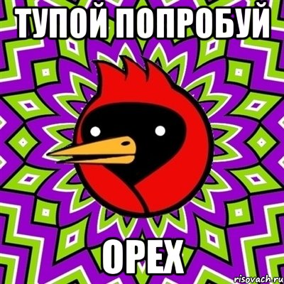 тупой попробуй орех