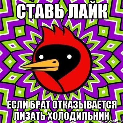 Ставь лайк Если брат отказывается лизать холодильник, Мем Омская птица