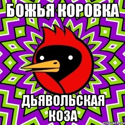 Божья коровка дьявольская коза